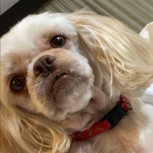 Meet your Posher, Tashara